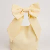 Bow Detail Chiffon Pouch Bag