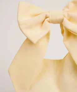 Bow Detail Chiffon Pouch Bag