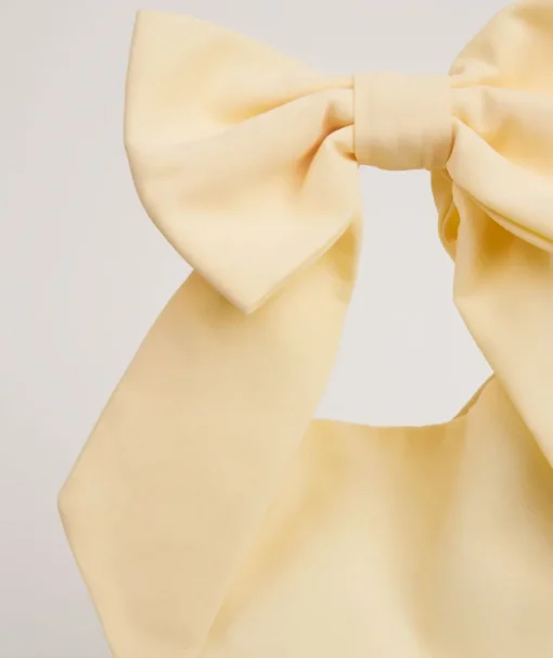 Bow Detail Chiffon Pouch Bag