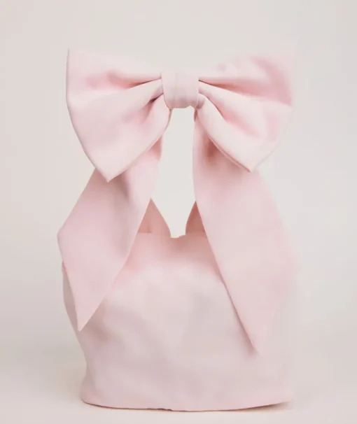 Bow Detail Chiffon Pouch Bag