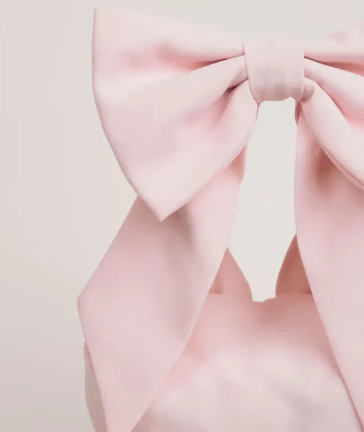 Bow Detail Chiffon Pouch Bag