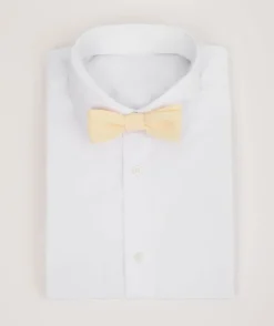 Boy's Chiffon Bow Tie