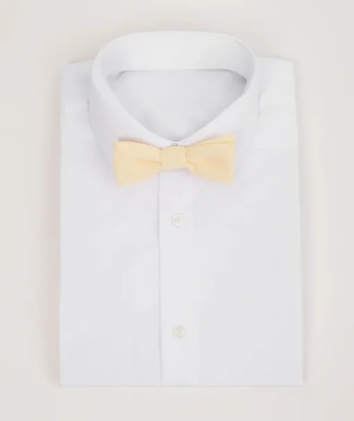 Boy's Chiffon Bow Tie