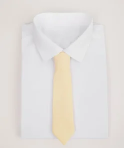 Boy's Chiffon Tie