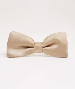 Boy's Satin Bow Tie