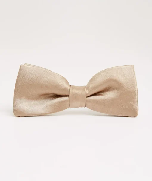 Boy's Satin Bow Tie