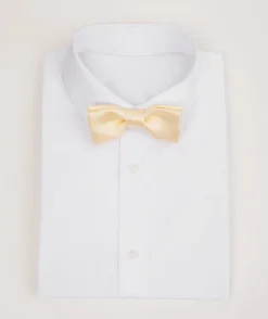 Boy's Satin Bow Tie