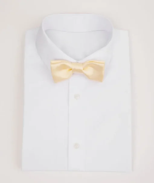 Boy's Satin Bow Tie