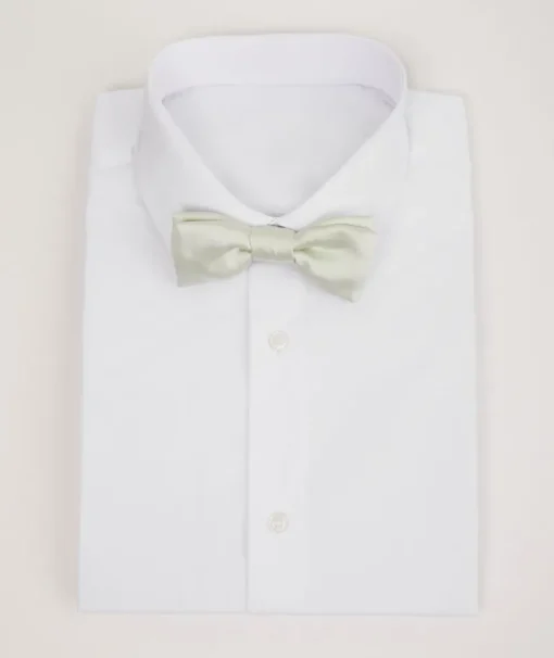 Boy's Satin Bow Tie