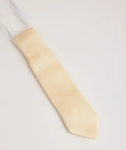 Boy's Satin Tie