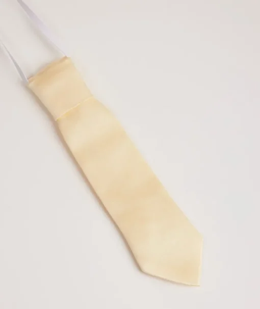 Boy's Satin Tie