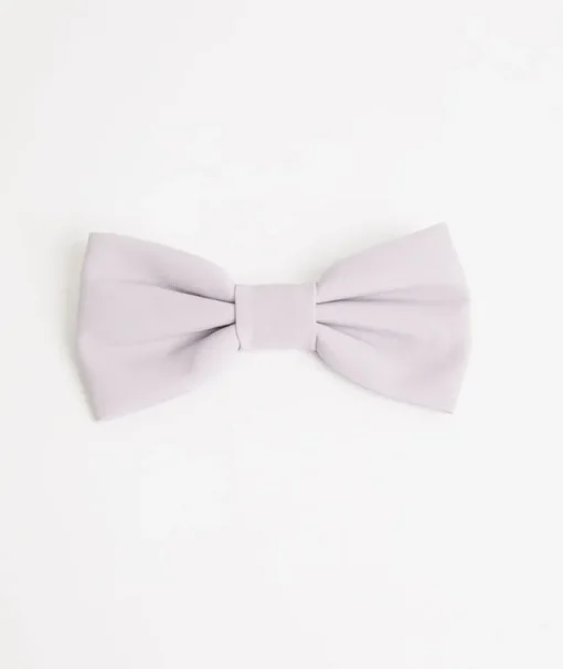 Dog Chiffon Bow Tie