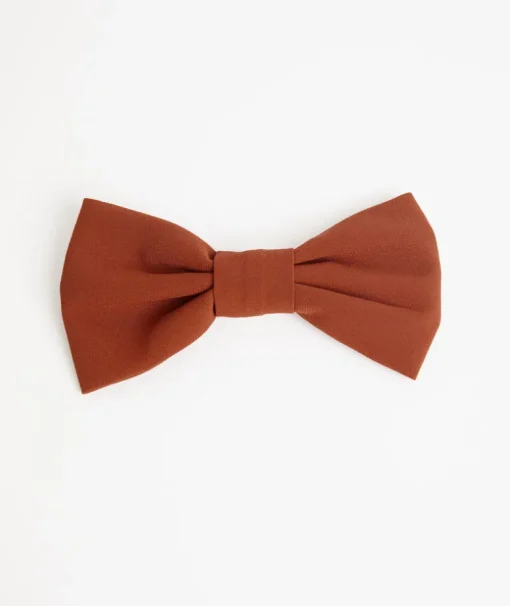 Dog Chiffon Bow Tie