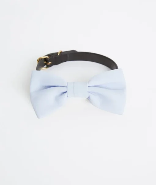 Dog Chiffon Bow Tie