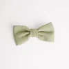 Dog Crepe Bow Tie