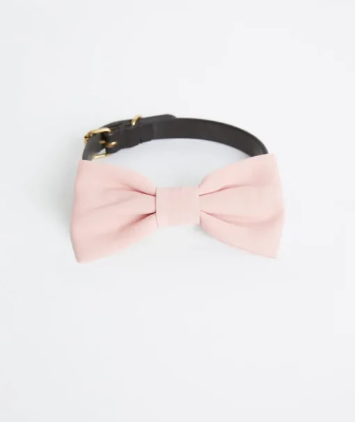 Dog Crepe Bow Tie