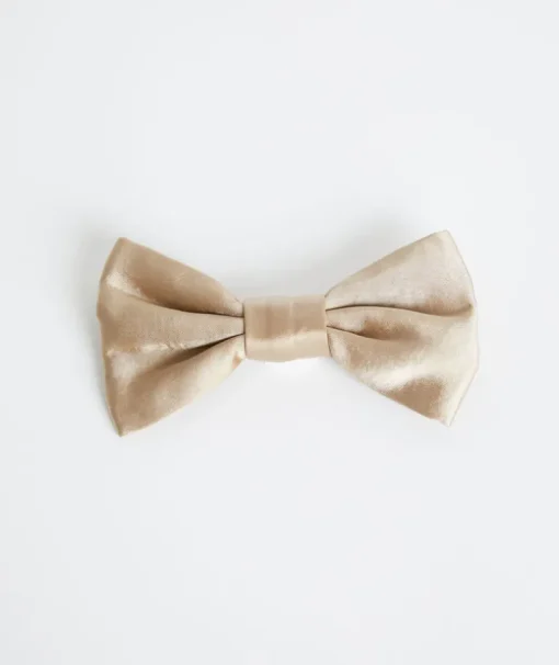 Dog Satin Bow Tie