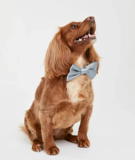 Dog Satin Bow Tie