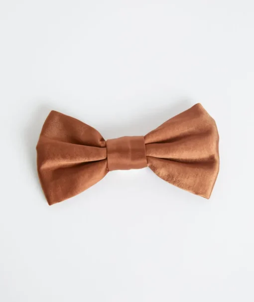 Dog Satin Bow Tie