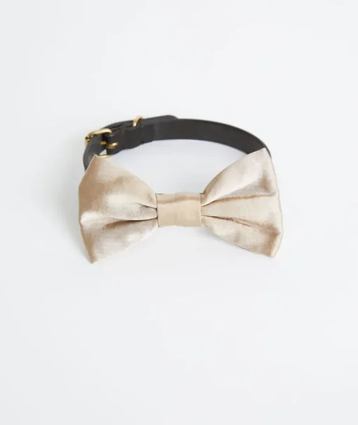 Dog Satin Bow Tie