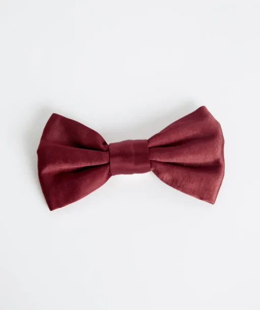 Dog Satin Bow Tie