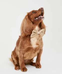 Dog Satin Bow Tie