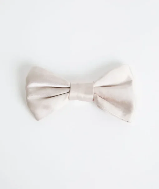Dog Satin Bow Tie