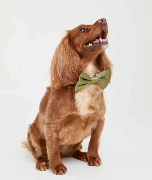 Dog Satin Bow Tie