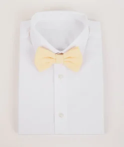 Men's Chiffon Bow Tie