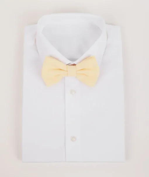 Men's Chiffon Bow Tie
