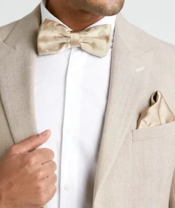 Men's Satin Bow Tie
