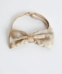 Men's Satin Bow Tie