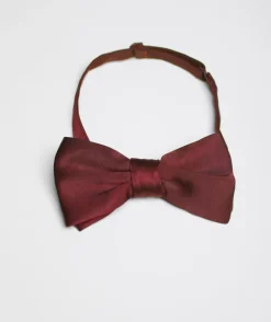 Men's Satin Bow Tie