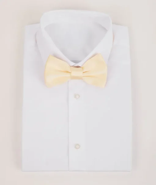 Men's Satin Bow Tie