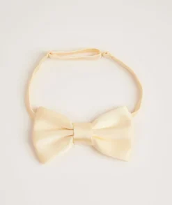 Men's Satin Bow Tie