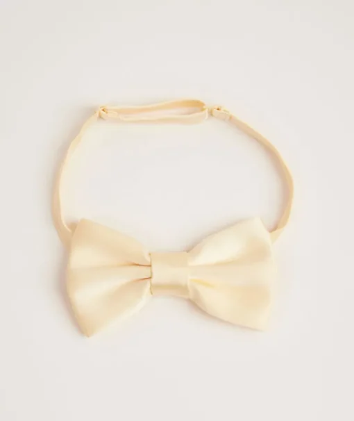 Men's Satin Bow Tie