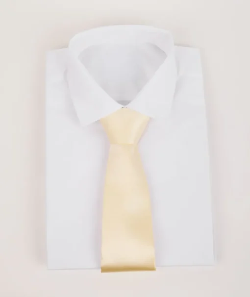 Men's Satin Tie