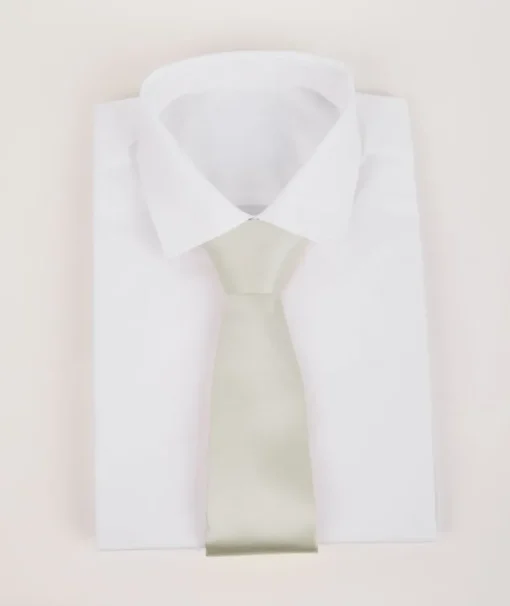 Men's Satin Tie